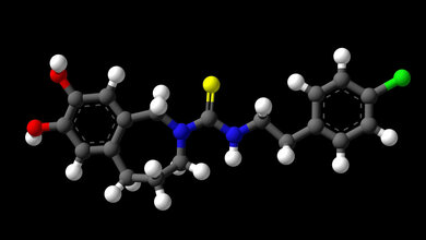 Capsazepine-3D-balls_By_DFliyerz_CC_BY_SA_4_0.jpg Modell von capsazepine