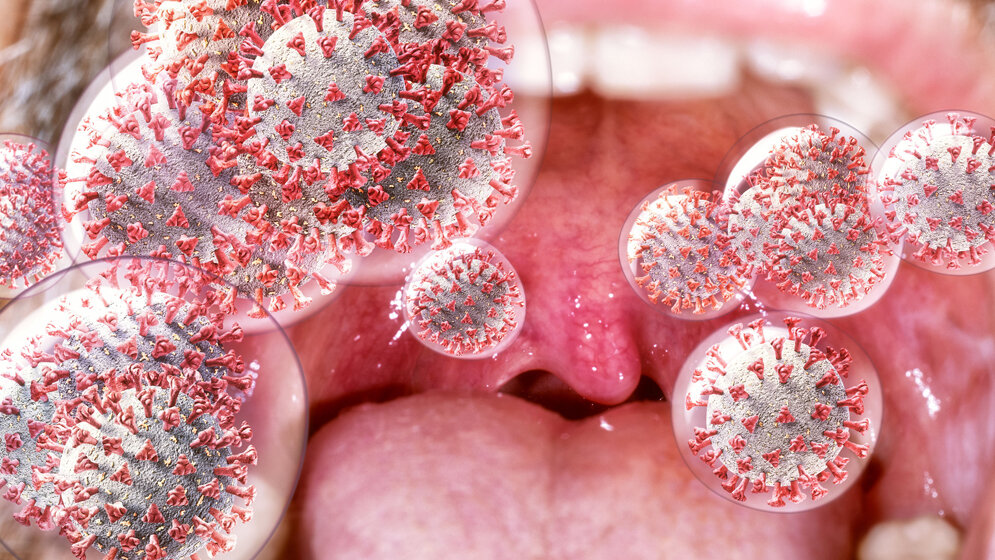 Corona_Ingo_Bartussek_stock_adobe_com.jpg Steigende SARS-CoV-2-Infektionszahlen