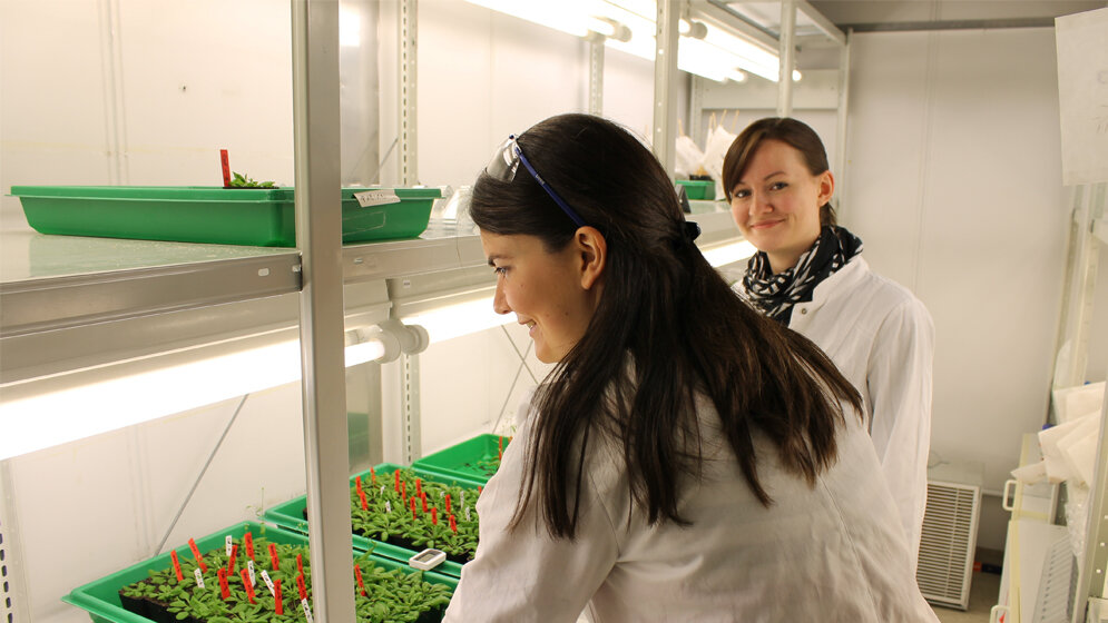 Die_Bayreuther_Doktorandinnen_Carolin_Kerl_und_Colleen_Rafferty_Christian_Wissler.jpg Die Bayreuther Doktorandinnen Carolin Kerl und Colleen Rafferty