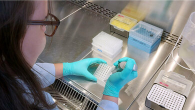 Mikrobiologie.jpg Vorbereitung der Proben für die PCR-Analyse.