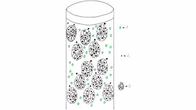 Laboratoriumsmedizin Repetitorium: Gelpermeationschromatografie