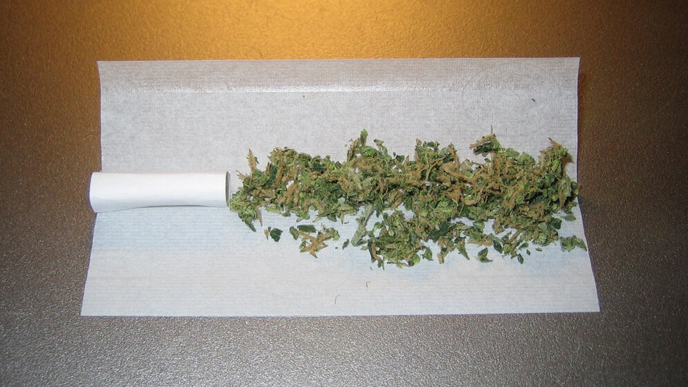 Cannabis_By_Erik_Fenderson_at_Swedish_Wikipedia_Own_work_Public_Domain_wikimedia.jpg Joint