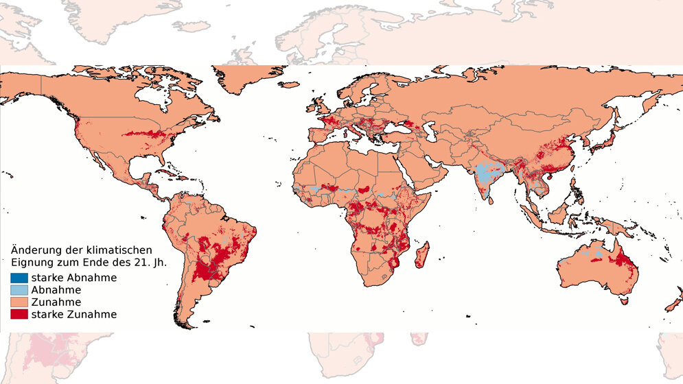 guenstige_Klimabedingungen_fuer_Chikungunya_Uebertragungen_Nils_Tjaden.jpg günstige Klimabedingungen für Chikungunya-Übertragungen bis zum Jahr 2100