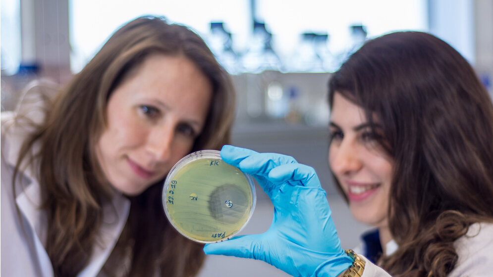 Krankheitserreger_Bacillus_thuringiensis_kann_in_ihrer_Naehe_nicht_gedeihen_Dr_Sabrina_Koehler.jpg Hemmwirkung der Pseudomonas-Bakterien