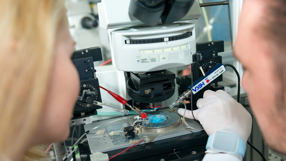 Melanopsine_von_Mensch_und_Maus_reagieren_unterschiedlich_auf_kurze_blaue_Lichtpulse_RUB_Tim_Kramer_11042016.jpg Melanopsine