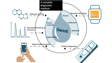 Grafischer_Abstract_Schweisstest.jpg Grafisches Abstract der Studie.