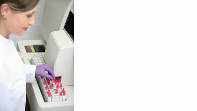 Rechtsprechung Erlaubnis zum Führen der Berufsbezeichnung