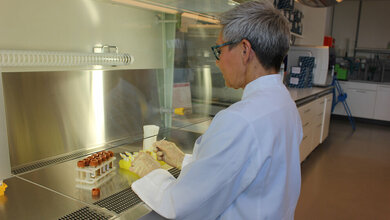 Stuhlproben_werden_vorbereitet_Foto_Copyright_C._Bang_Uni_Kiel_Exzellenzcluster_PMI.jpg Stuhlproben werden vorbereitet