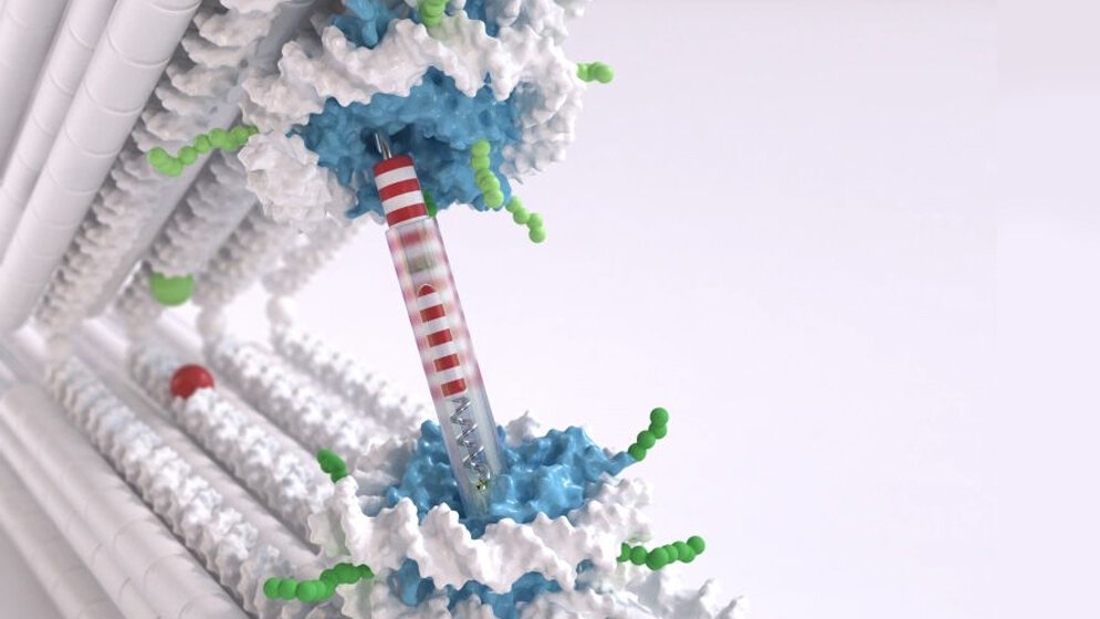 Pinzetten_Struktur_zwei_starre_DNA_Balken_die_durch_Gelenk_verbunden_sind_Chris_Hohmann_NIM_Dietz_Lab_TUM.jpg Pinzetten-Struktur