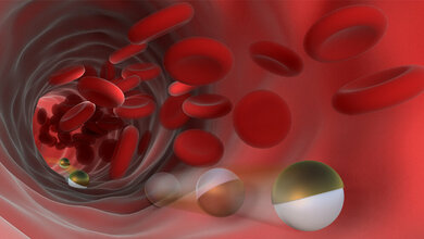 Mikroroboter_rollt_tief_ins_Innere_des_Koerpers_MPI_fuer_intelligente_Systeme.jpg Mikroroboter