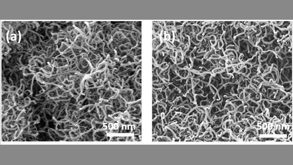 Nano_Draehte_Universitaetsklinikum_des_Saarlandes_Homburg_Saar.jpg Elektronenmikroskopische Aufnahme von Nano-Drähten