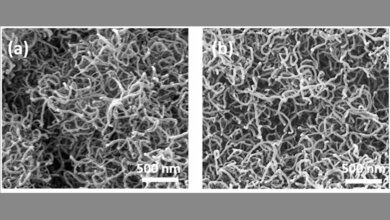 Nano_Draehte_Universitaetsklinikum_des_Saarlandes_Homburg_Saar.jpg Elektronenmikroskopische Aufnahme von Nano-Drähten