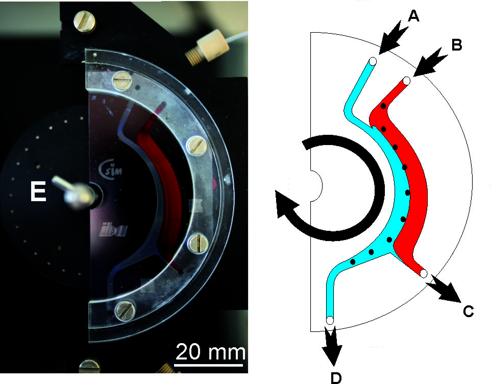 newsimage293501.tif Zellseparator