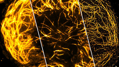 Neue_Darstellungsmoeglichkeit_Foto_Universitaet_Bielefeld_Robin_Diekmann.jpg Superauflösung mittels Chip-Verfahren