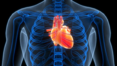 Herz_Vorhofflimmern.jpg Symbolbild für menschliches Herz