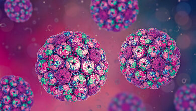 Merkelzell-Polyomavirus Titelbild zum Fachbeitrag über das Merkelzell-Polyomavirus