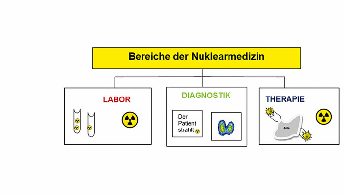 Grundlagen Der Nuklearmedizin (Teil 2) - MT-Dialog