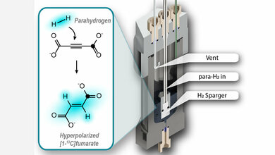 Hyperpolarisation_von_Fumarat_für_den_Einsatz_als_Biosensor_John_Blanchard_James_Eills_JGU.jpg Hyperpolarisation von Fumarat