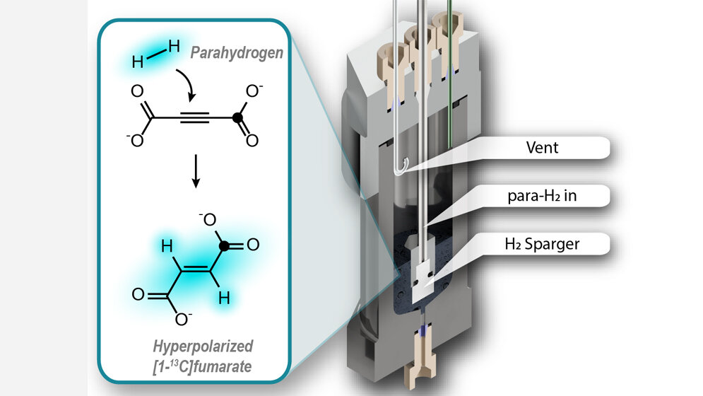 Hyperpolarisation_von_Fumarat_für_den_Einsatz_als_Biosensor_John_Blanchard_James_Eills_JGU.jpg Hyperpolarisation von Fumarat