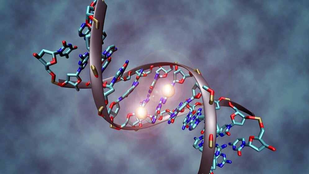 DNA_methylation_Christoph_Bock_CC_BY_SA_3_18032016.jpg DNA