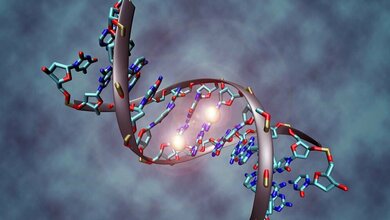 DNA_methylation_Christoph_Bock_CC_BY_SA_3_18032016.jpg DNA Methylierung