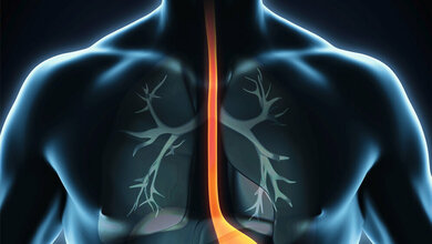 Speiseroehre_nerthuz_Fotolia.jpg Speiseröhre