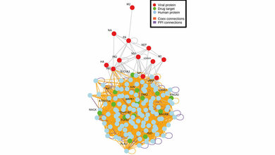 Mit_Bioinformatik_auf_der_Suche_nach_wirksamen_Arzneimitteln_gegen_Grippe_Quelle_PEI.jpg Suche nach wirksamen Arzneimitteln