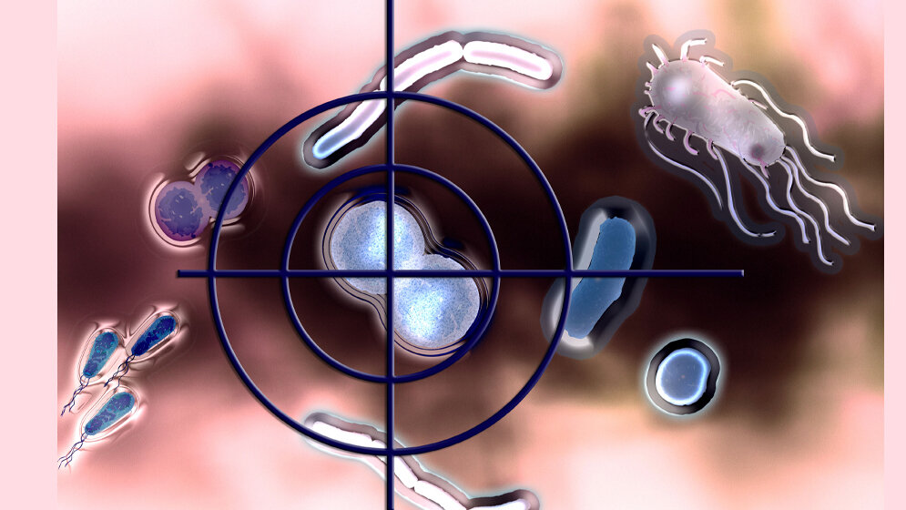Selektive_Antibiotika_ermoeglichen_Praezisionseingriffe_im_Mikrobiom_Computergrafik_Universitaet_Konstanz.jpg Selektive Antibiotika ermöglichen Präzisionseingriffe