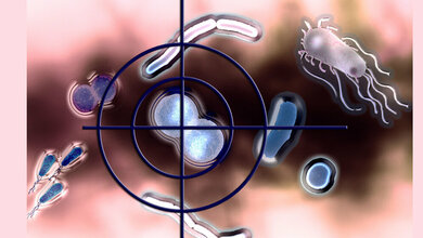 Selektive_Antibiotika_ermoeglichen_Praezisionseingriffe_im_Mikrobiom_Computergrafik_Universitaet_Konstanz.jpg Selektive Antibiotika ermöglichen Präzisionseingriffe