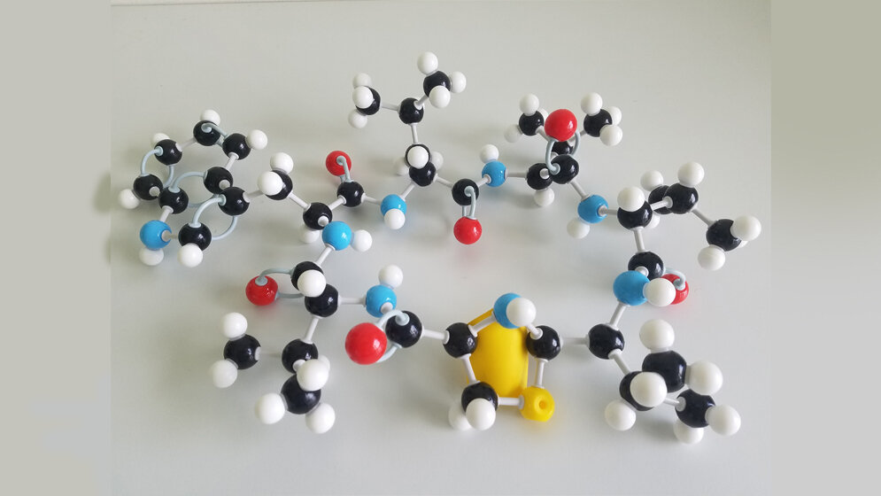 Strukturmodell_von_Lugdunin_Foto_Uni_Tuebingen_Jose_M_Beltran_Belena.jpg Strukturmodell von Lugdunin