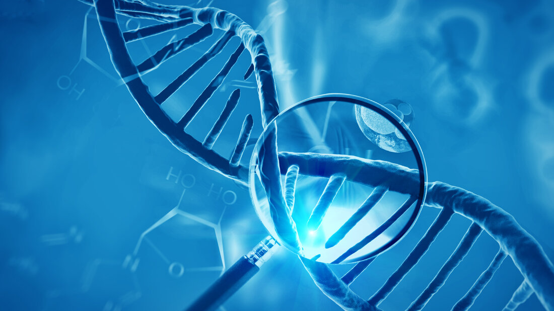 Gene_Adobe.jpg Viele unerforschte Genabschnitte