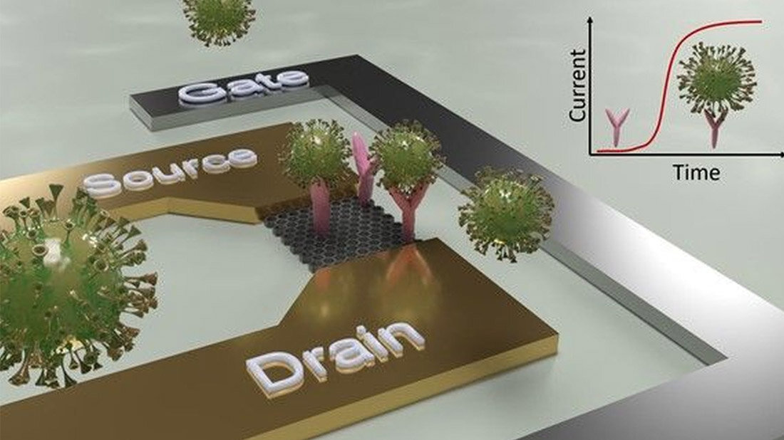 Schematischer_Aufbau_eines_Sensors_zu_Detektion_von_viralen_Erregern.jpg Schematischer Aufbau eines Sensors zu Detektion von viralen Erregern