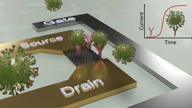 Schematischer_Aufbau_eines_Sensors_zu_Detektion_von_viralen_Erregern.jpg Schematischer Aufbau eines Sensors zu Detektion von viralen Erregern
