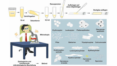 Laboratoriumsmedizin Digitale Lehre in Zeiten von Corona mal anders ... es geht weiter!