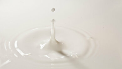 Milch_Dennis_Skley_CC_BY_ND_2_0.jpg Milch