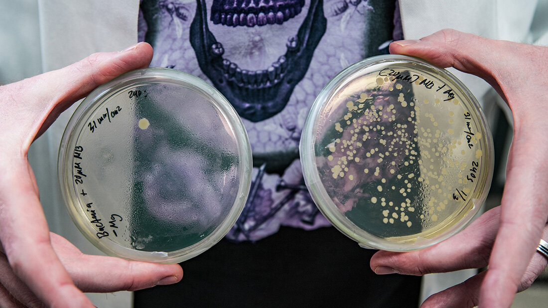 Antibiotikaresistenz_neue_Ansatz.jpg Resistente Keime mithilfe von DNA-basierten Nanoantibiotika bekämpfen