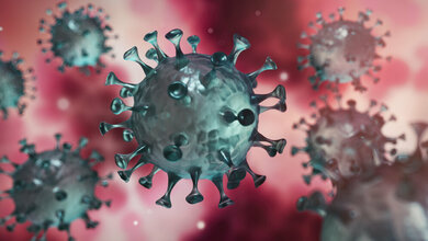 Coronavirus_peterschreiber_media_stock_adobe_com.jpg Sequenzierung