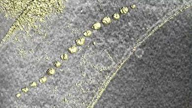 Die_magnetischen_Nanoteilchen_bilden_im_Innern_der_Zelle_eine_Kette.jpg Die magnetischen Nanoteilchen bilden im Innern der Zelle eine Kette