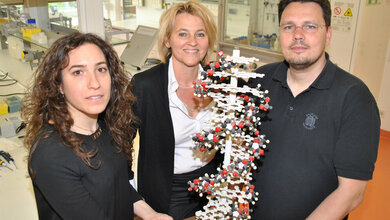 Dr_Michelle_Seif_Prof_Dr_Alexandra_K_Kiemer_Dr_Frank_Breinig_Foto_Claudia_Ehrlich.jpg Dr. Michelle Seif, Prof. Dr. Alexandra K. Kiemer, Dr. Frank Breinig