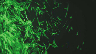 Happy Medical Products Tierversuchsfreie Alternativmethoden