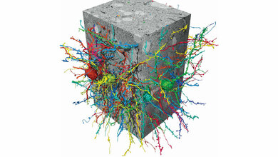 Rekonstruktion_von_Nervenzellen_mit_Hilfe_der__FFN_MPI_fuer_Neurobiologie_Julia_Kuhl.jpg Rekonstruktion von Nervenzellen
