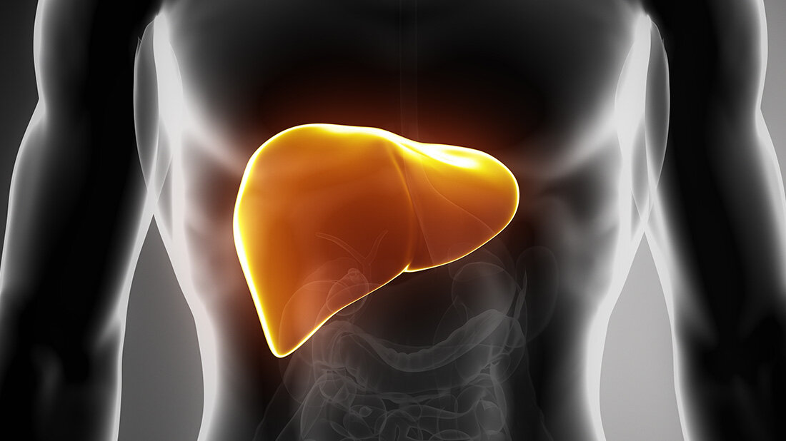 Paracetamol-Vergiftung.jpg Folgen der Paracetamol-Vergiftung für die Leber