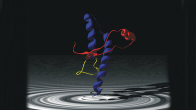 Prion_Cornu_1904_5_June_2009_BY_SA_2.0_08082016.jpg Schematische 3D-Darstellung
