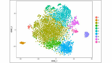 Tumorzelle_ist_nicht_gleich_Tumorzelle_Abbildung_AG_Fassnacht.jpg Tumorzelle ist nicht gleich Tumorzelle.