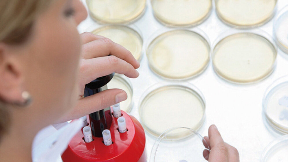 T_PSCHALE_S-1.jpgDVTA-Eisele.jpg Projektgruppe