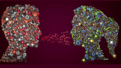 Panknin_beitrag_Christoph_Burgstedt_stock_adobe_com.jpg Risiko im Krankenhaus