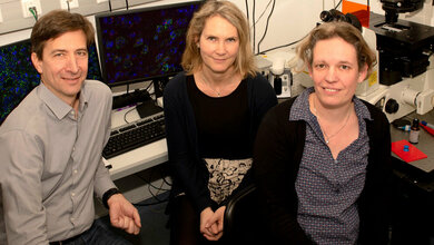 Prof_Dr_Dirk_Dietrich_Prof_Dr_Susanne_Schoch_und_Dr_Karen_van_Loo_Foto_Katharina_Wislsperger_UKB.jpg Erforschen die Ursache von Epilepsien