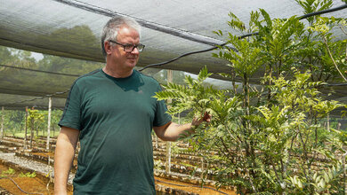 Professor_Dr_Arnold_Gruenweller_mit_einem_Aglaia_Strauch_Foto_Sarawak_Biodiversity_Center.jpg Professor Dr. Arnold Grünweller