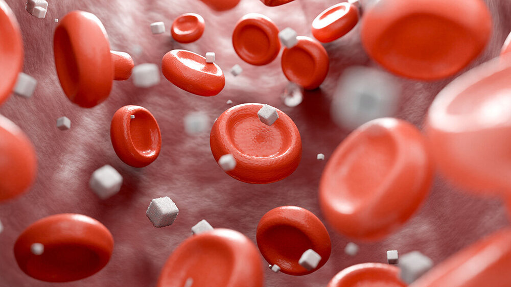 Blutzucker_Blutplaettchen.jpg Darstellung von roten Blutkörperchen und weißen Partikeln, die Zucker darstellen sollen, in einer Blutbahn