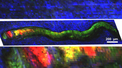 3D_Oberflaechenbild_mit_drei_Biomolekuelen_in_rot_gruen_blau_Kodierung_Bernhard_Spengler.jpg 3D Oberflächenbild